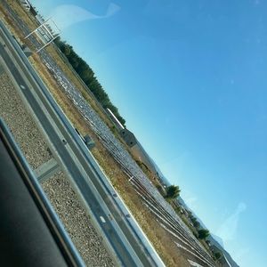 Meet your Posher, Josey